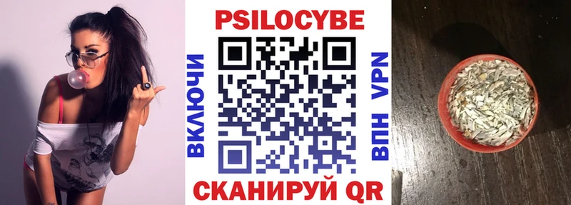 Псилоцибиновые грибы Psilocybe сайты даркнета какой сайт Псков где купить наркотик